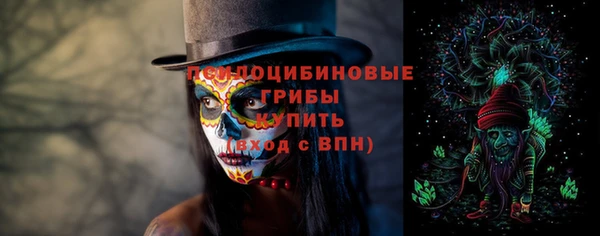 a pvp Дмитров