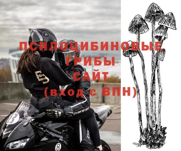 герыч Кохма