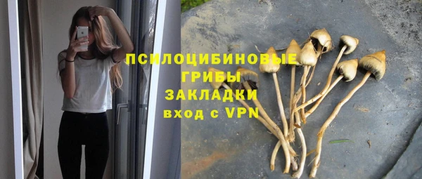 кристаллы Дмитриев