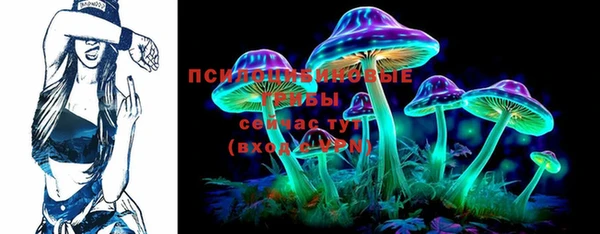 альфа пвп Дмитровск