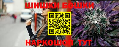 тгк Бийск