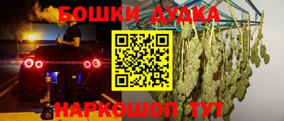 тгк Бийск