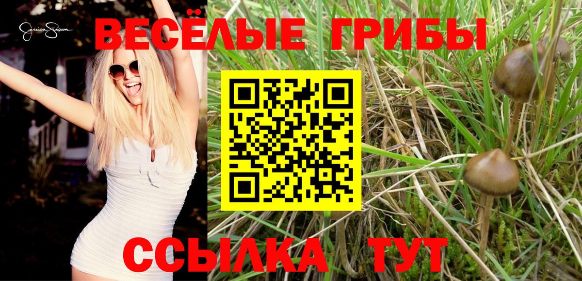 Псилоцибиновые грибы MAGIC MUSHROOMS  Вход с VPN  Димитровград  Галлюциногенные грибы GOLDEN TEACHER 