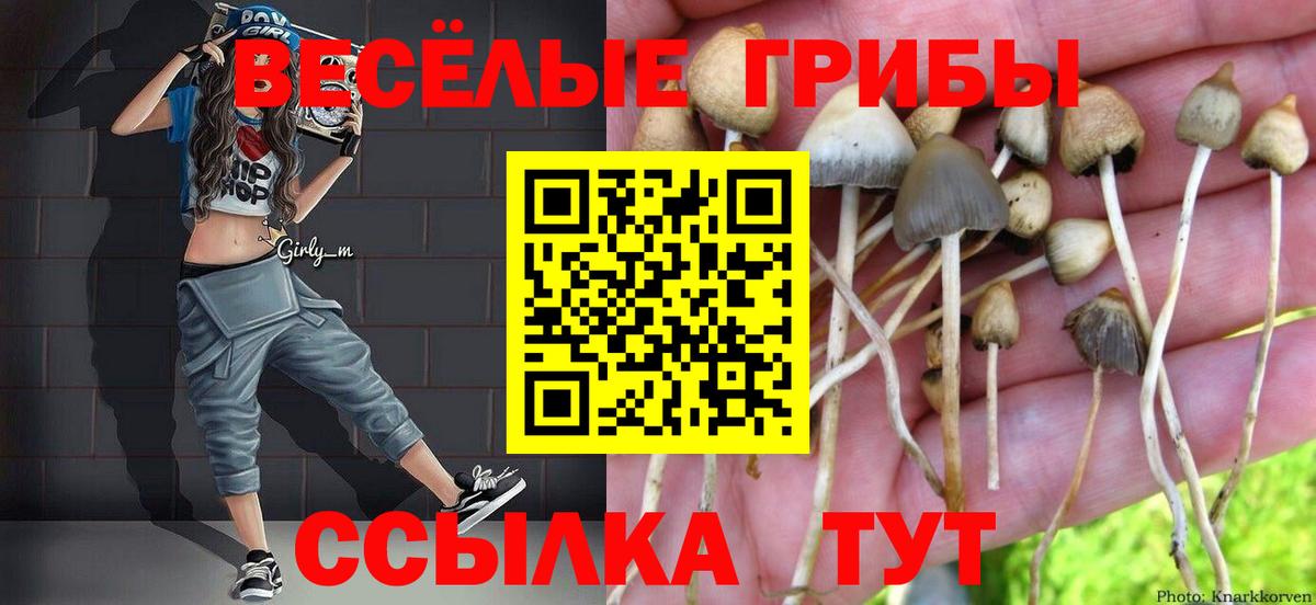 Галлюциногенные грибы Magic Shrooms Димитровград