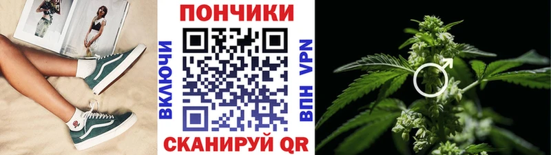 цена   Димитровград  Шишки марихуана OG Kush 